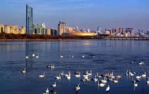 三門峽又一網(wǎng)紅景點，確定不來pick一下？